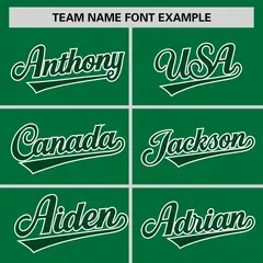 Teal Green-White Raglan Sleeves V-Neck Hockey Jersey 3