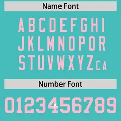 Teal Light Pink Sequin Lettering Football Jersey 4
