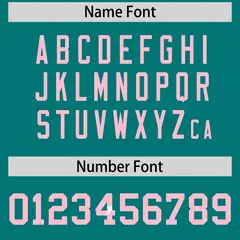 Teal Light Pink Sequin Lettering Football Jersey 4