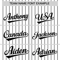 Two-Tone White Black Pinstripe Authentic Baseball Jersey 3