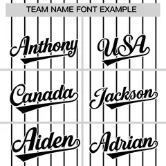 Two-Tone White Black Pinstripe Authentic Baseball Jersey 3