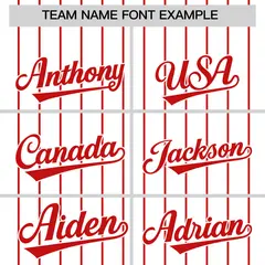 Two-Tone White Red Pinstripe Authentic Baseball Jersey 3