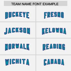 White Aqua Retro Sleeve Line Authentic Football Jersey 3