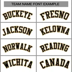 White Black-Old Gold Varsity Full-Snap Letterman Jacket 5