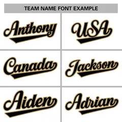 White Black-Old Gold Varsity Full-Snap Letterman Jacket 5