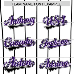 White Denver City Silhouette Baseball Jersey 3