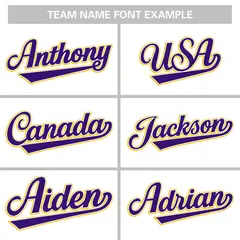 White Gold-Purple Raglan Varsity Full-Snap Letterman Baseball Jacket 5