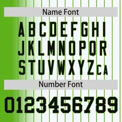 White Green Gradient Pinstripe Full-Snap Letterman Jacket 4