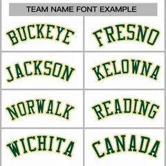 White Green-White Raglan Varsity Letterman Full-Snap Jacket 3