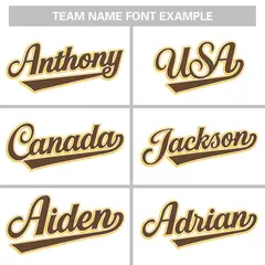 White Light Brown-Gold Raglan Varsity Letterman Baseball Jacket 5