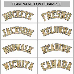 White Old Gold-White Varsity Full-Snap Letterman Jacket 3