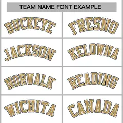 White Old Gold-White Varsity Full-Snap Letterman Jacket 5