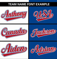 White Royal Stripe-Solid Combo Authentic Baseball Jersey 3