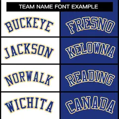 White Royal Two Tone Split Varsity Full-Snap Letterman Jacket 5