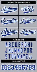 Women's Gray Royal White Classic Baseball Jersey 5