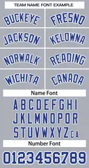 Women's Gray Royal-White Classic Baseball Jersey 5