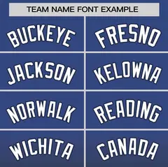 Women's Navy Gray Gradient Mesh Basketball Jersey 3