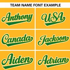 Yellow Kelly Green Varsity Full-Zip Raglan Letterman Jacket 7